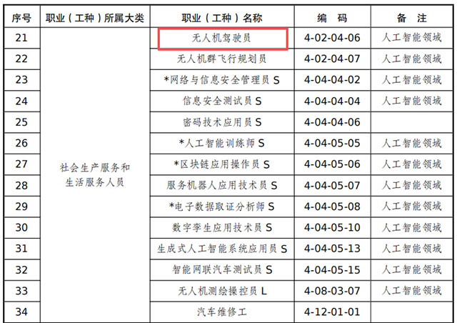 人社无人机驾驶员初级.jpg